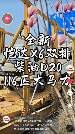 全新愷達(dá)X6柴油雙排，德威D20-116匹大馬力。